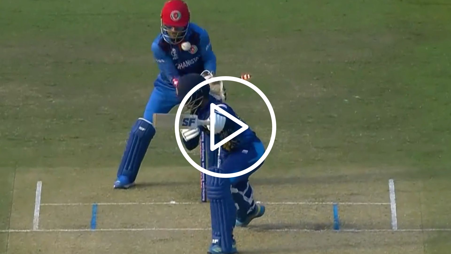 [Watch] Rashid Khan's Lethal Googly Castles Dhananjaya de Silva